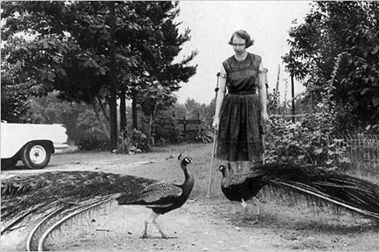Flannery O'Connor with her peacocks at Andalusia