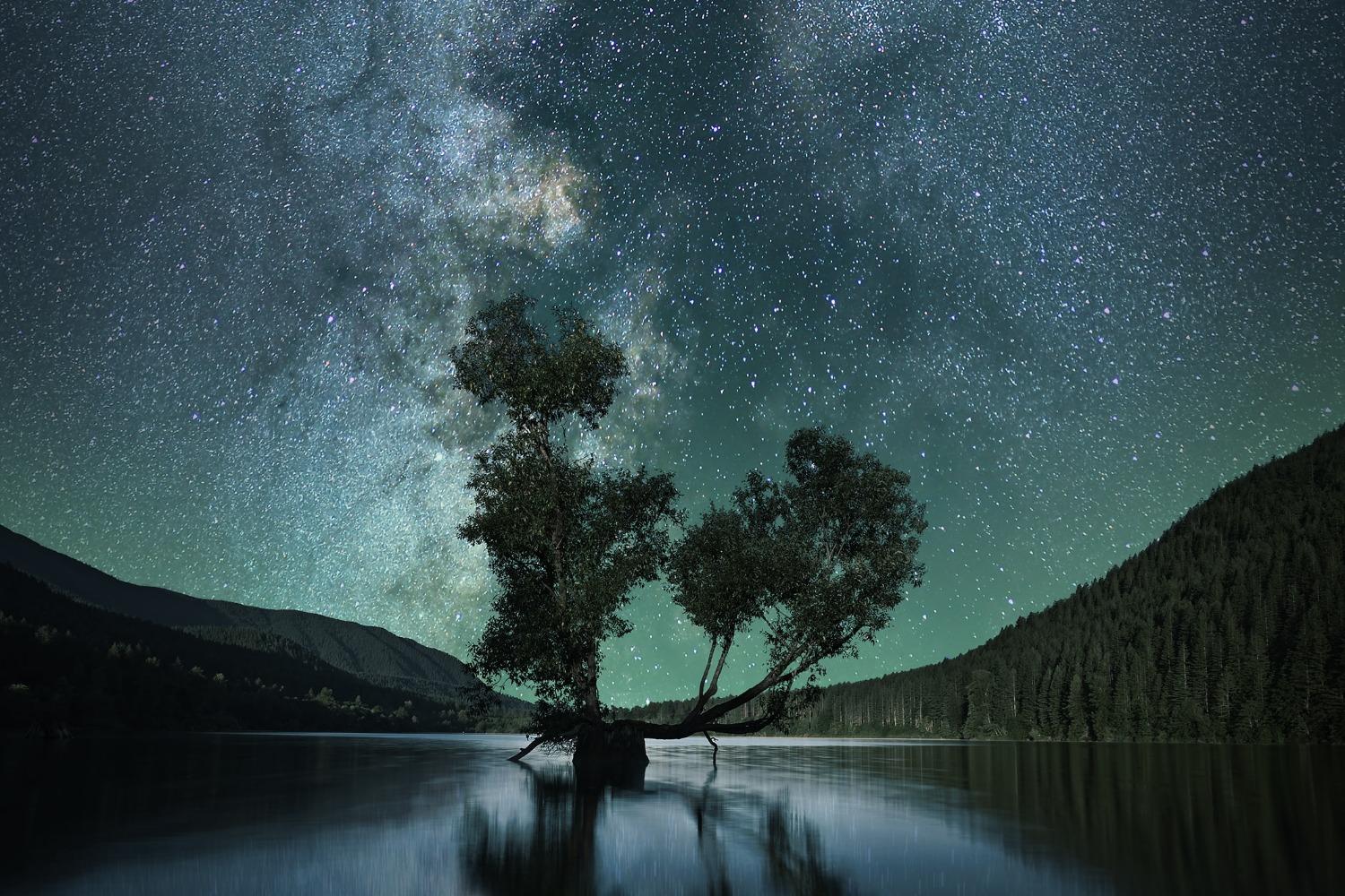 A tree, a lake, and a stary horizon