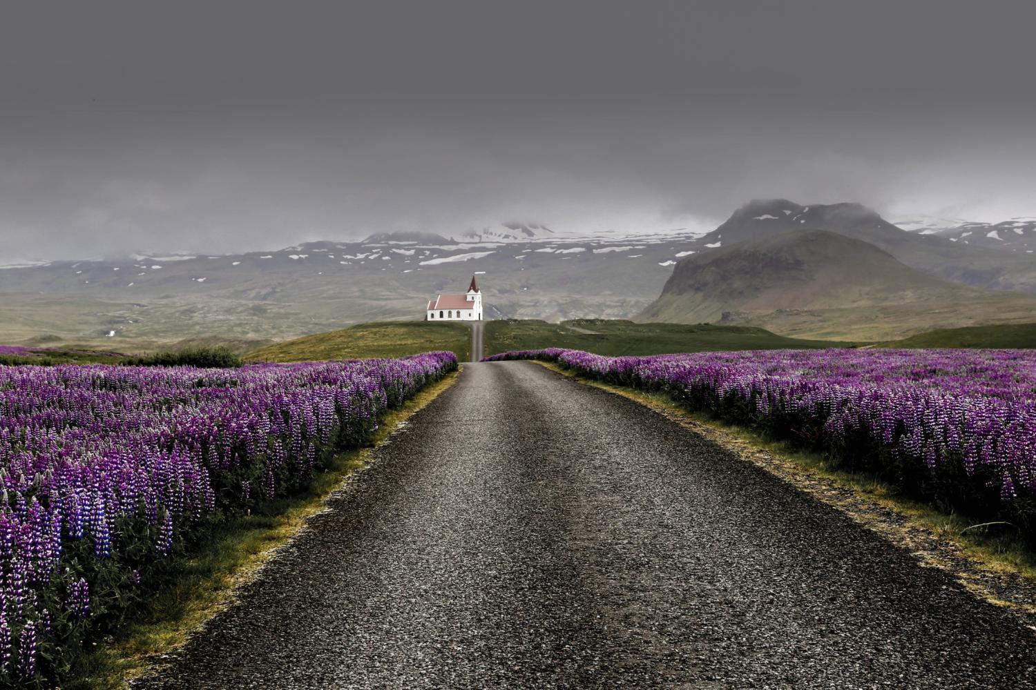A road to a church with purple flowers