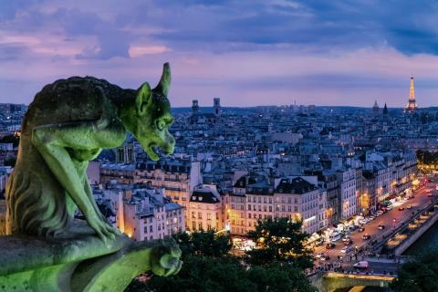 A Gargoyle overlooks Paris