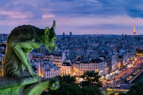 A Gargoyle overlooks Paris