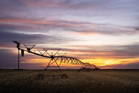 Sunset in the heartland