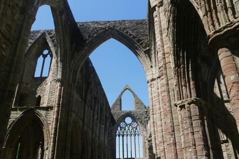 Volatile, Yet Momentary Affairs