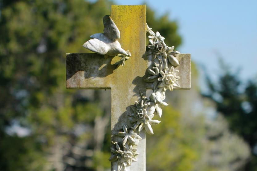 dove on cross